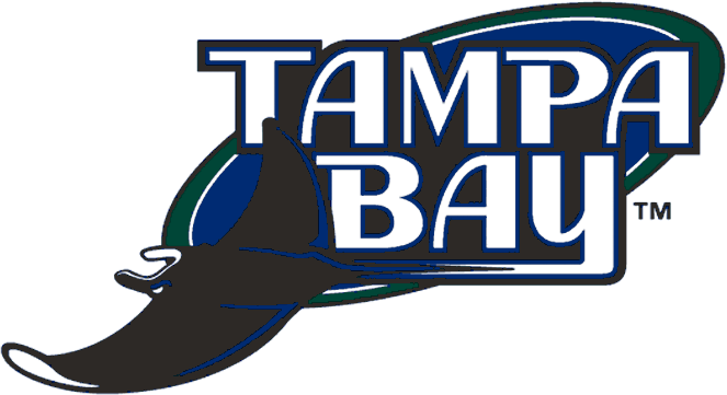 Tampa Bay Devil Rays 2001-2007 Primary Logo t shirts DIY iron ons